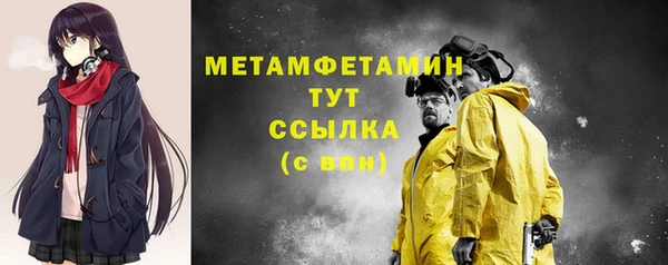 шишки Новодвинск