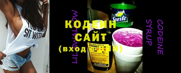 шишки Новодвинск