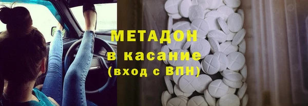 шишки Новодвинск