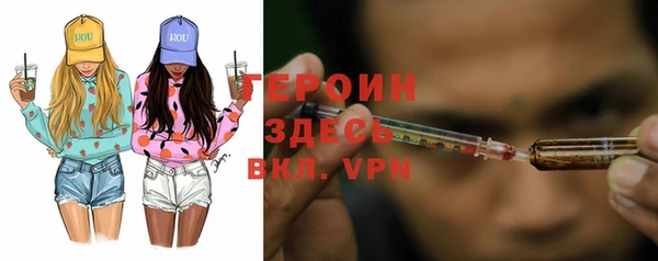 шишки Новодвинск