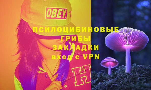 шишки Новодвинск