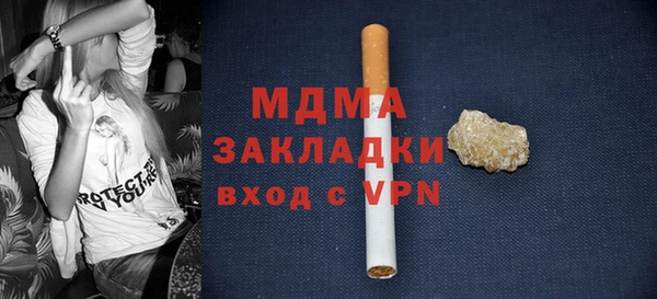 шишки Новодвинск
