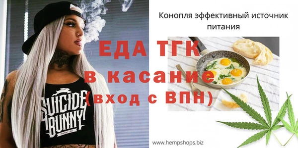 шишки Новодвинск