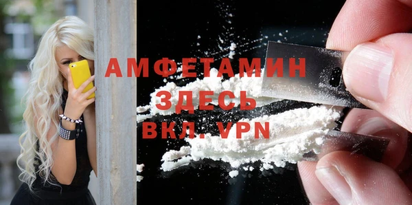 шишки Новодвинск