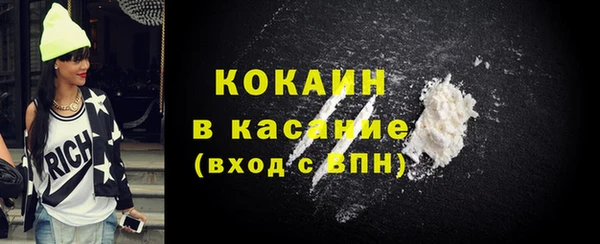 шишки Новодвинск