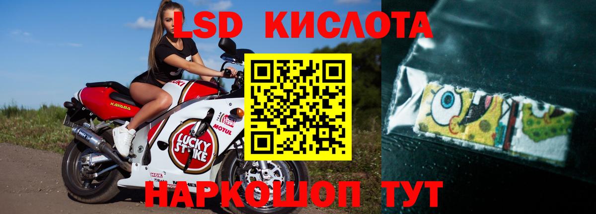 блэк спрут ONION  ЛСД экстази  LSD-25 экстази ecstasy  Абинск  LSD-25 экстази ecstasy 