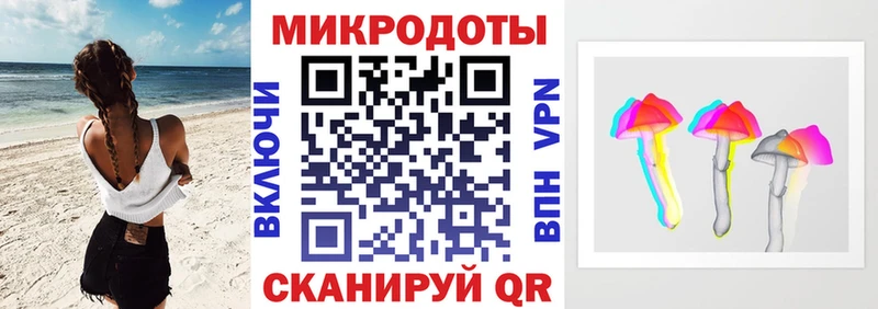 Псилоцибиновые грибы Psilocybine cubensis  Абинск 
