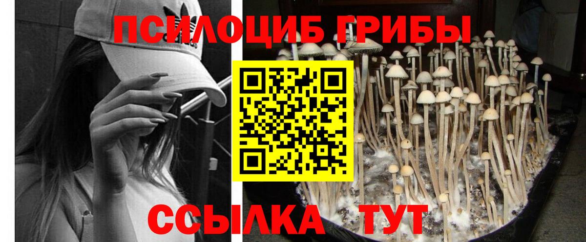 Абинск  Галлюциногенные грибы Cubensis  Вход с VPN  купить наркоту  Галлюциногенные грибы мухоморы 