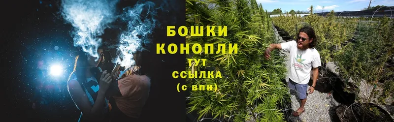 Конопля Bruce Banner  Абинск 